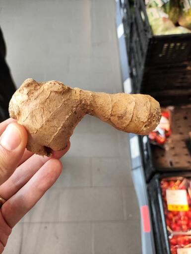phalical ginger